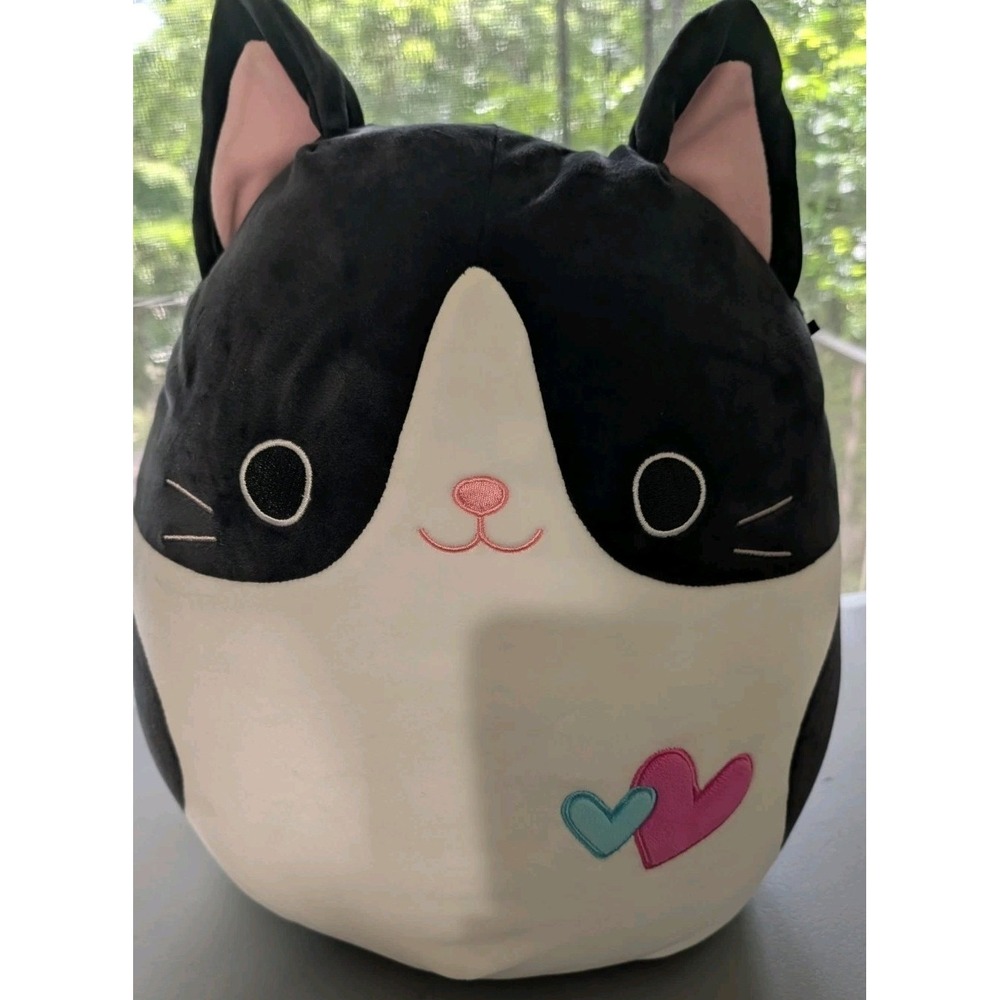 RARE Squishmallow Valentines 2025 Cicely the Cat 16 inch